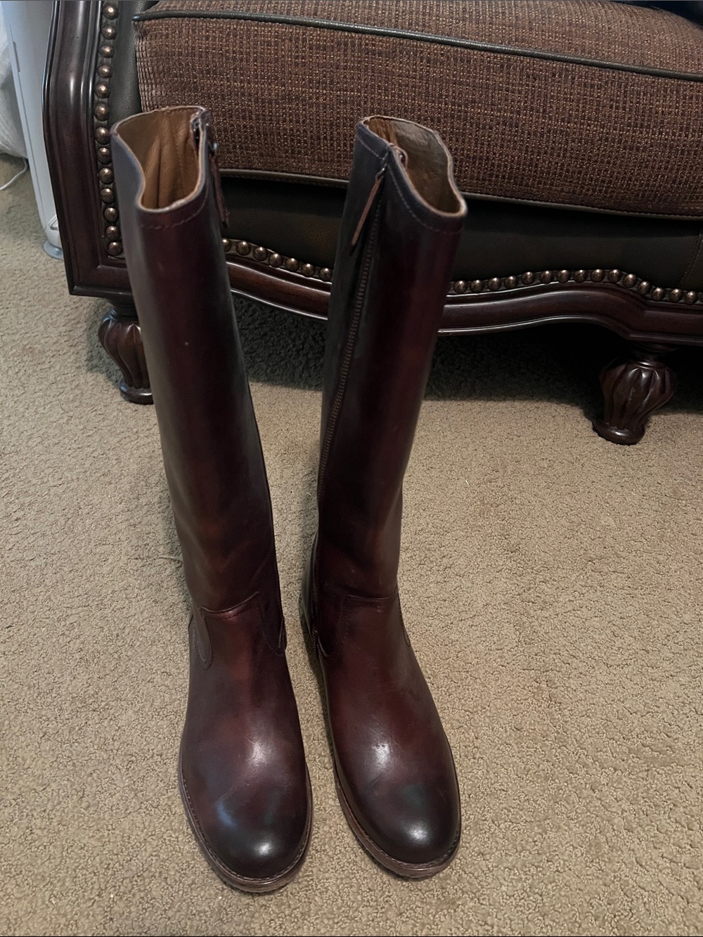 Women’s — Frye Tall Zip-Back Riding Boots in Dark Brown—